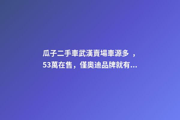 瓜子二手車武漢賣場車源多，5.3萬在售，僅奧迪品牌就有3000多輛